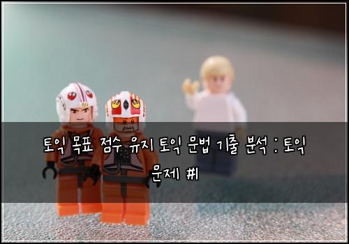 토익 목표 점수 유지 토익 문법 기출 분석 : 토익 문제 #1