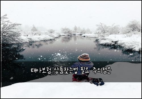 태아보험 상품찾는법  필요 주의점은