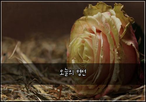오늘의 명언