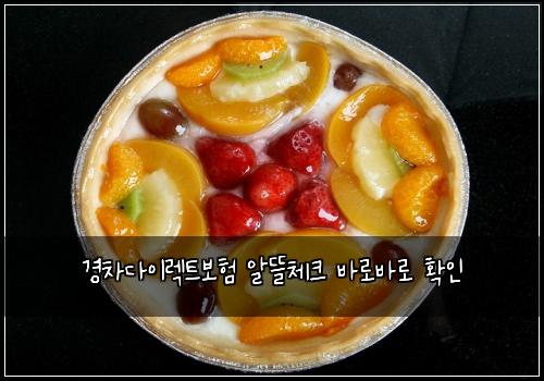 경차다이렉트보험 알뜰체크  바로바로 확인