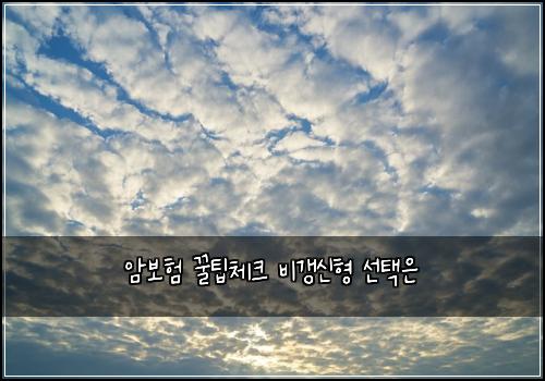 암보험 꿀팁체크  비갱신형 선택은