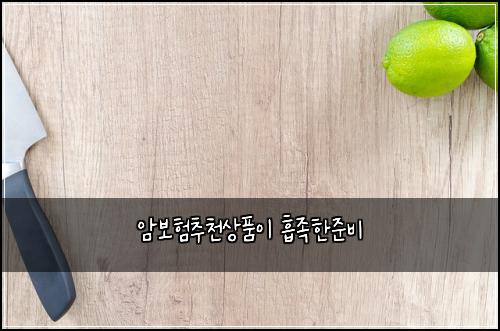 암보험추천상품이 흡족한준비