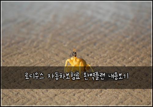 로디우스 자동차보험료 완벽플랜 내용보기