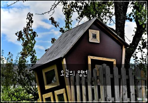 오늘의 명언
