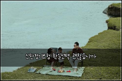 신한정기보험 확실선택  괜찮습니까