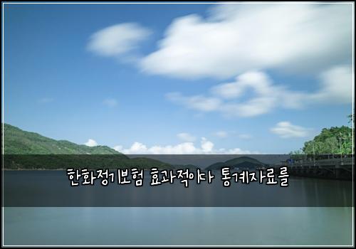 한화정기보험 효과적이다  통계자료를