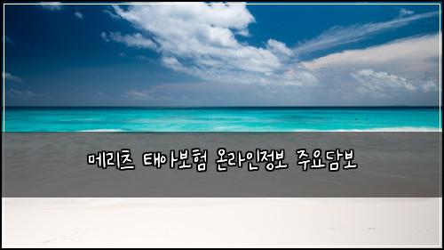 메리츠 태아보험 온라인정보  주요담보