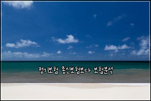 정기보험 종신보험보다 보험분석