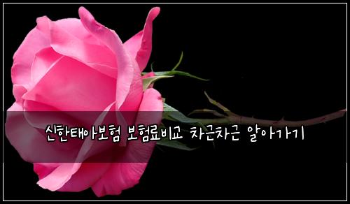 신한태아보험 보험료비교  차근차근 알아가기