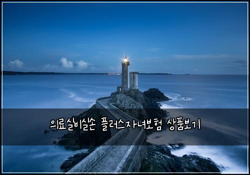 의료실비실손 플러스자녀보험 상품보기 