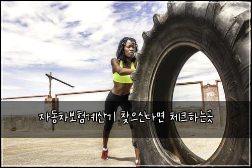 자동차보험계산기 찾으신다면 체크하는곳