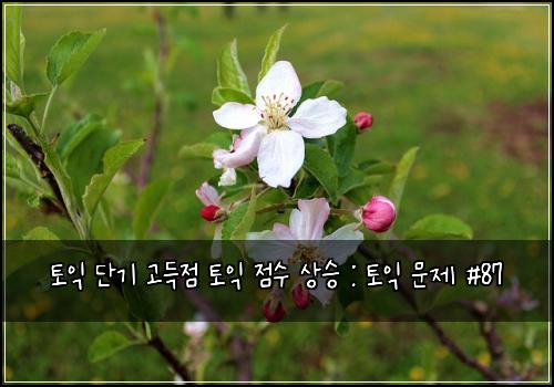 토익 단기 고득점 토익 점수 상승 : 토익 문제 #87