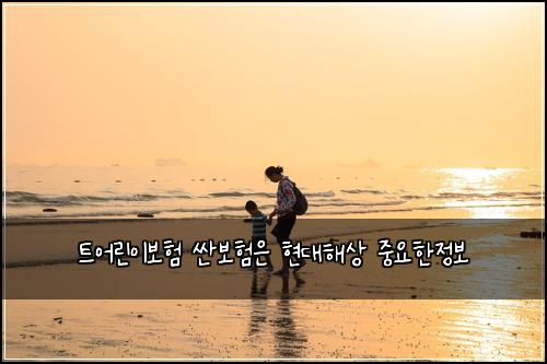 트어린이보험 싼보험은 현대해상 중요한정보