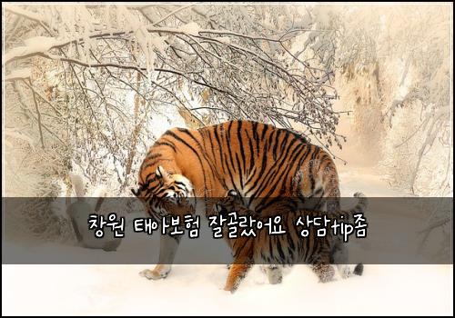 창원 태아보험 잘골랐어요  상담tip좀