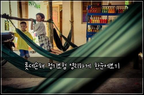 롯데손해 정기보험 영리하게  한눈에보기
