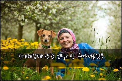 현대해상태아보험 선택요령  꼭따져볼것들