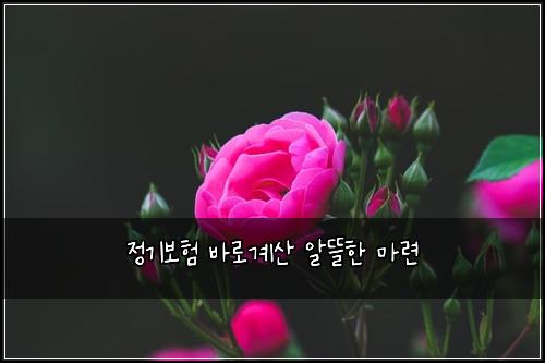 ์ ๊ธฐ๋ณดํ ๋ฐ๋ก๊ณ์ฐ ์๋ฐํ ๋ง๋ จ