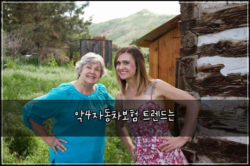악4자동차보험 트렌드는 