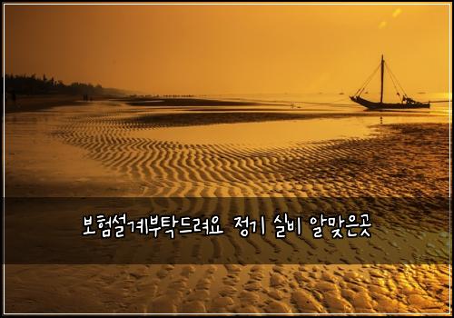 보험설계부탁드려요 정기 실비 알맞은곳