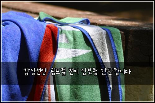 갑상선암 림프절 전이 암보험 간단합니다 