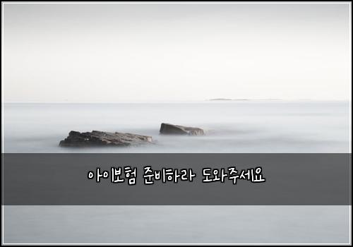 아이보험 준비하라  도와주세요