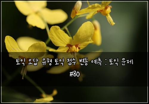 토익 오답 유형 토익 점수 변동 예측 : 토익 문제 #80