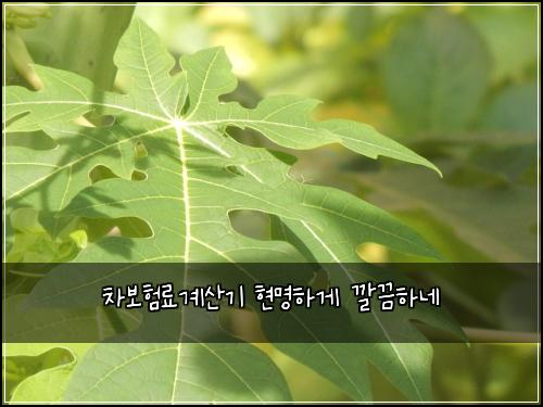 ์ฐจ๋ณดํ๋ฃ๊ณ์ฐ๊ธฐ ํ๋ช
ํ๊ฒ ๊น๋ํ๋ค