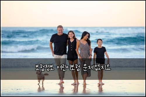 보험정보 어린이보험 문제없지요