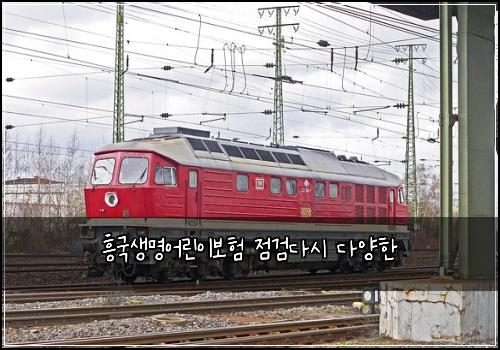 흥국생명어린이보험 점검다시  다양한