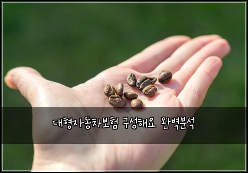 대형자동차보험 구성해요  완벽분석