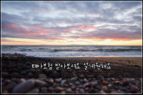태아보험 받아보셔요  설계원해요