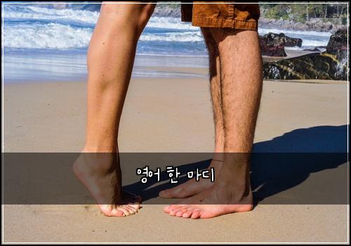 영어 한 마디