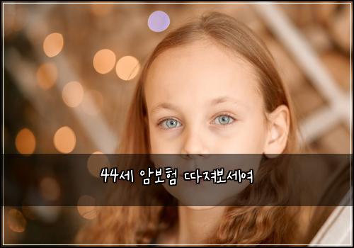 44세 암보험 따져보세여 
