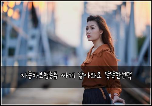 자동차보험종류 싸게 알아봐요 똑똑한선택