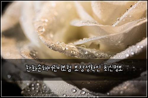 한화손해어린이보험 보장성확인  최신정보