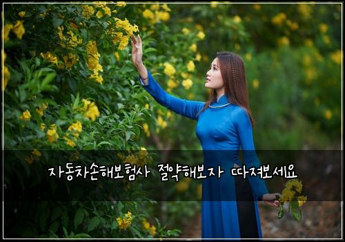 자동차손해보험사 절약해보자 따져보세요