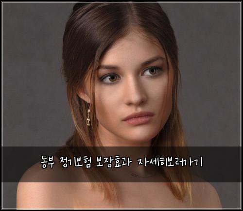 동부 정기보험 보장효과  자세히보러가기