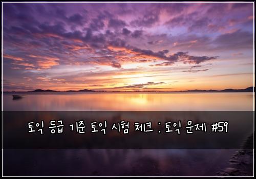 토익 등급 기준 토익 시험 체크 : 토익 문제 #59