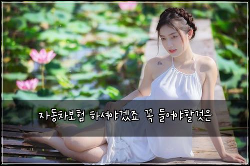 ์๋์ฐจ๋ณดํ ํ์
์ผ๊ฒ ์ฃ ๊ผญ ๋ค์ด์ผํ ๊ฒ์