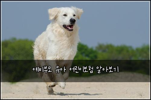 ์๋น๋ถ๋ชจ ์ ์ ์ด๋ฆฐ์ด๋ณดํ ์์๋ณด๊ธฐ