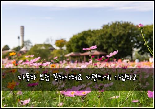 자동차 보험 꼭해야해요  저렴하게 가입하고