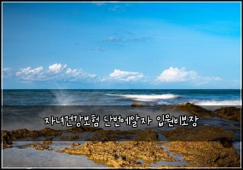자녀건강보험 단번에알자  입원비보장