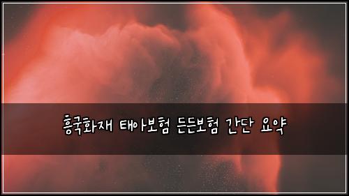 흥국화재 태아보험 든든보험  간단 요약
