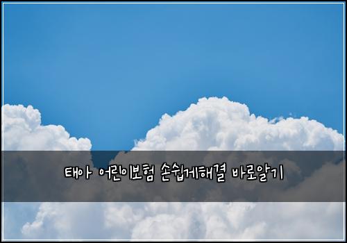 태아 어린이보험 손쉽게해결  바로알기
