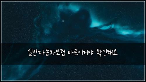 일반자동차보험 바로이거야  확인해요