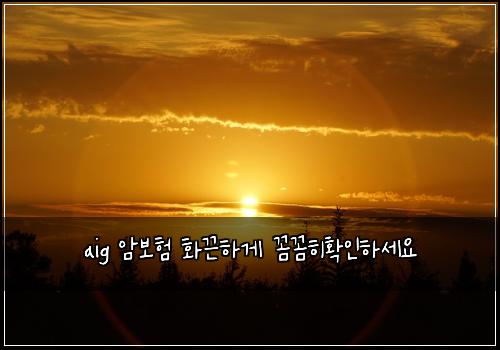aig 암보험 화끈하게  꼼꼼히확인하세요