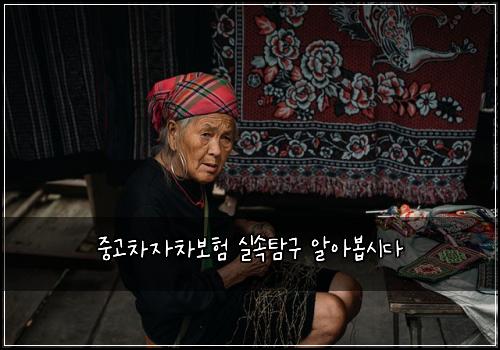 중고차자차보험 실속탐구  알아봅시다