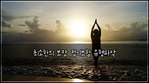 최소한의 보장 정기보험 유형파악 