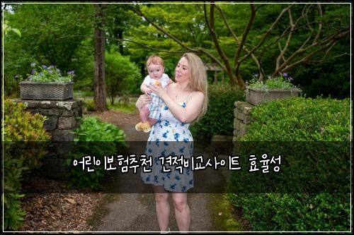 어린이보험추천 견적비교사이트 효율성