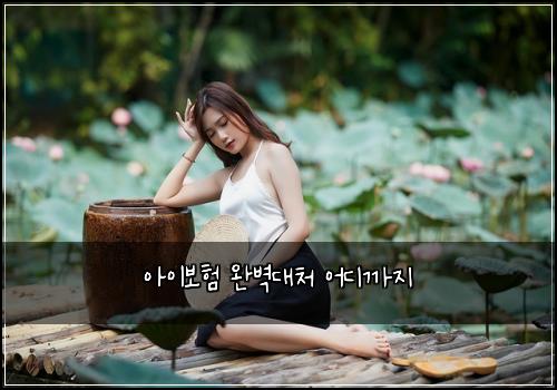 아이보험 완벽대처  어디까지